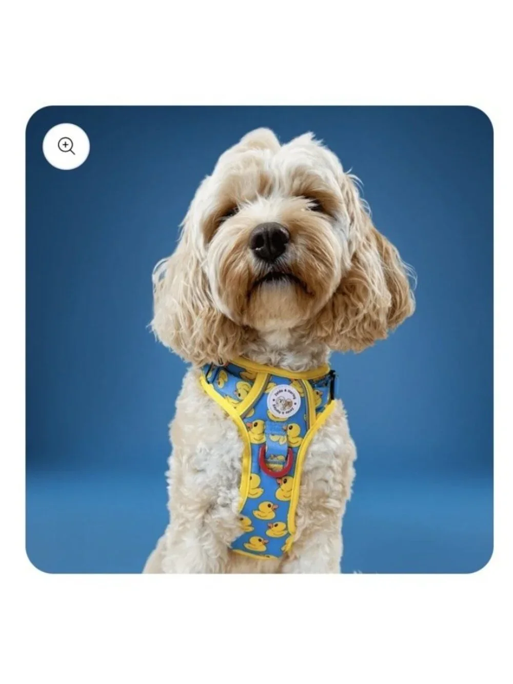 NEW Zelda & Harley Rubber Duckie Harness XXS